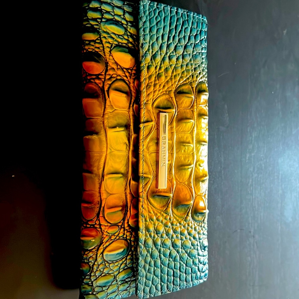 Brahmin Cordelia Bermuda ombré Melbourne wallet